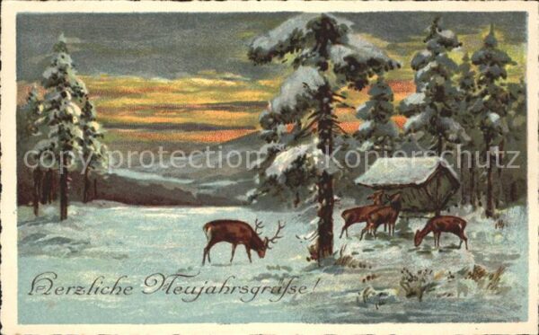 Neujahr Rehe Tannenbäume Futterkrippe