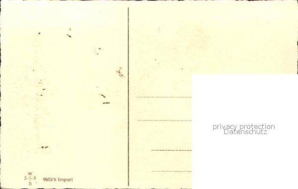 Verlag WS SB Nr. 9603 Neujahr Kleeblätter Blumen – Bild 2