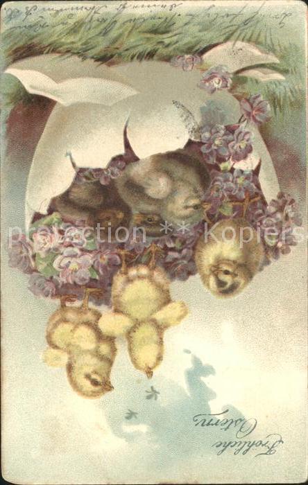 Ostern Easter Paques Küken Ei Blumen