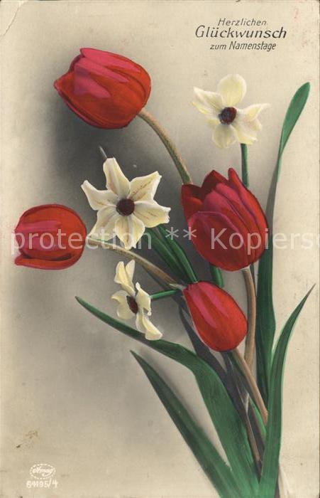 Verlag Amag Nr. 64195/4 Namenstag Tulpen Narzissen