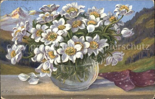 Frueh W. Anemonen Tuch