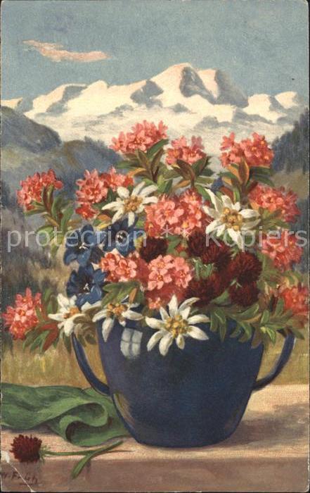 Frueh W. Alpenrose Edelweiß