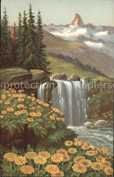Frueh W. Goldpippau Wasserfall