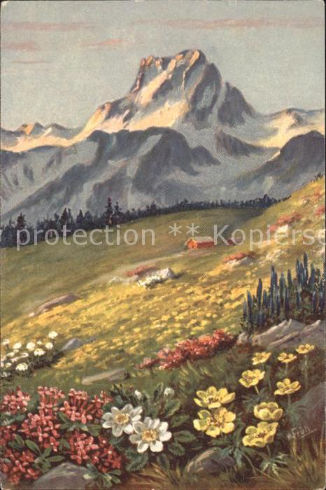 Frueh W. Alpenrosen Anemonen Berge