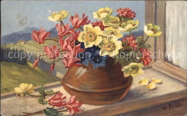 Frueh W. Alpenveilchen Anemonen