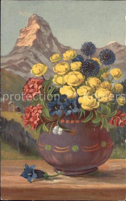 Frueh W. Trollblumen Alpenrosen Enzian Matterhor