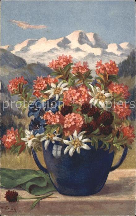 Frueh W. Alpenrosen Enzian Edelweiß