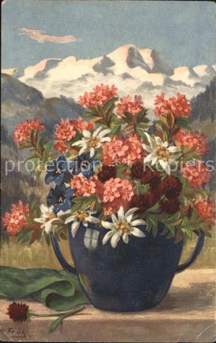 Frueh W. Alpenrosen Edelweiß Enzian