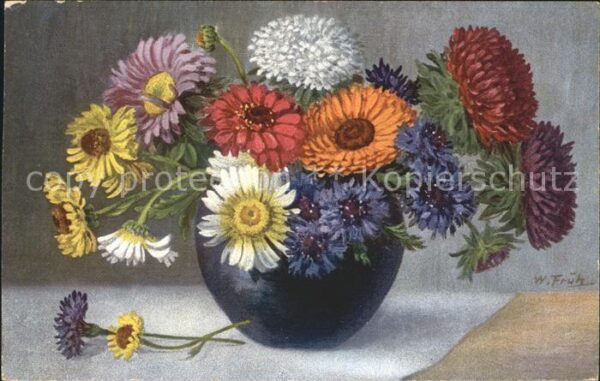 Frueh W. Dahlien Gerbera
