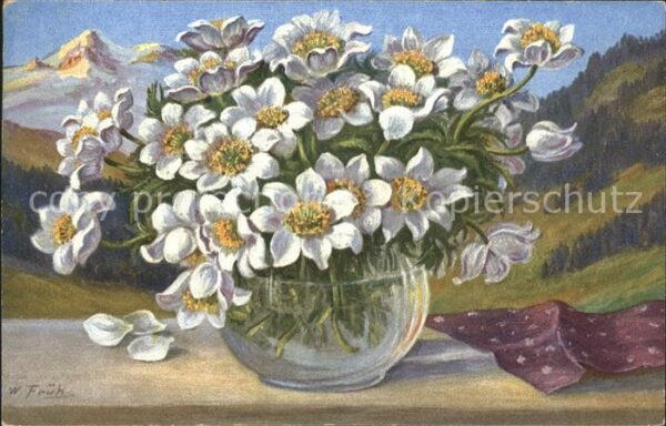 Frueh W. Anemonen Berge