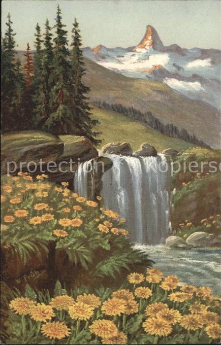 Frueh W. Wasserfall Goldpippau