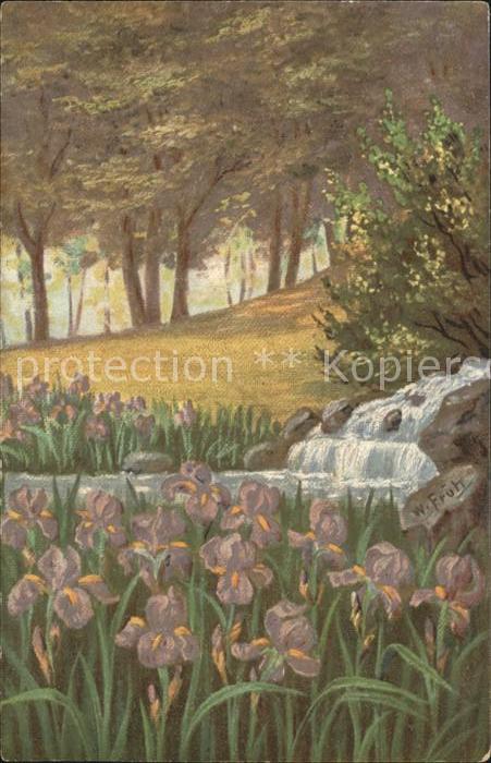 Frueh W. Wasserfall Lilien