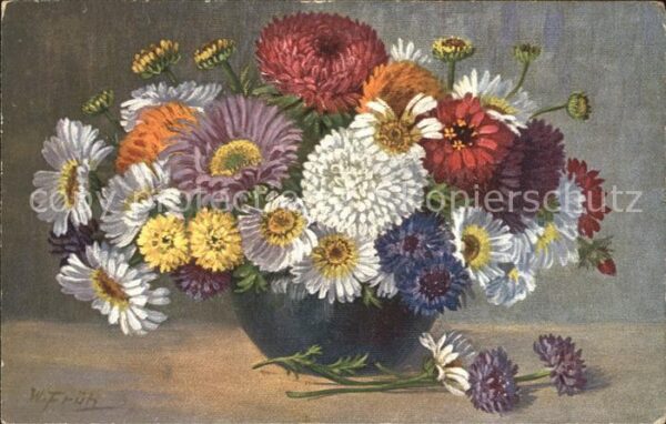 Frueh W. Dahlien  Margareten Strohblumen