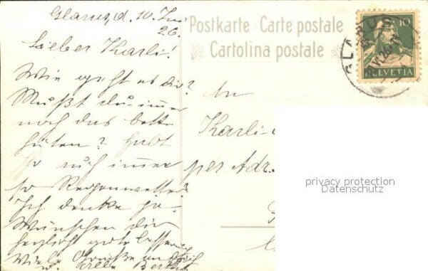 Frueh W. Dahlien Margariten – Bild 2