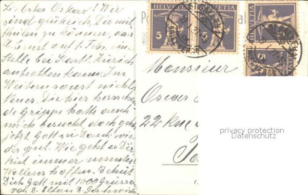 Frueh W. Alpenrosen Zypressen Burg See – Bild 2