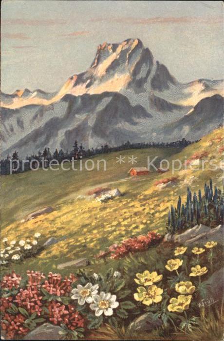 Frueh W. Anemonen Alpenrosen Berge