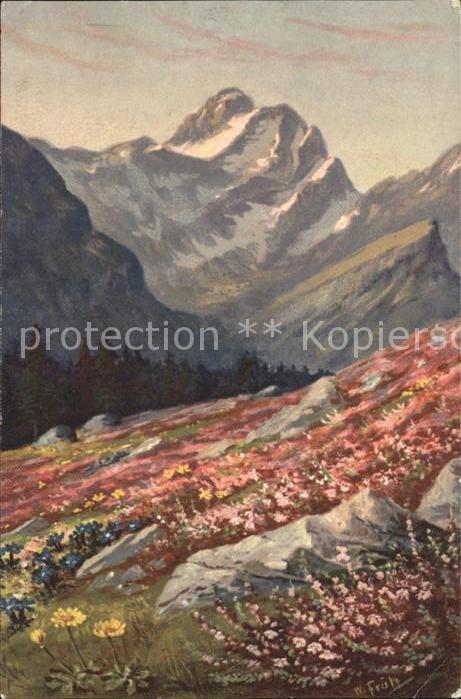 Frueh W. Alpenrosen Primeln Enzian Berge