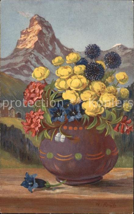 Frueh W. Alpenrosen Trollblume Enzian