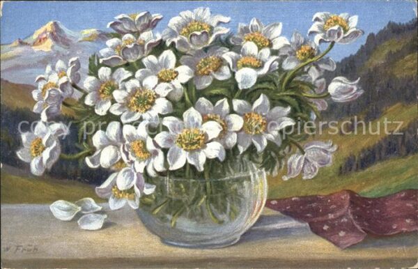 Frueh W. Anemonen