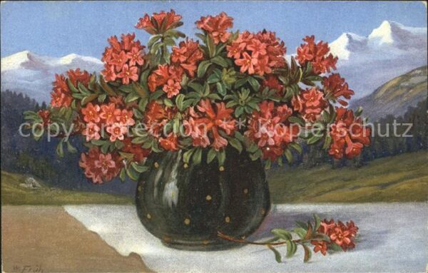 Frueh W. Alpenrosen Vase Berge