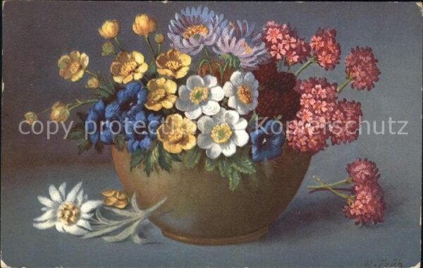 Frueh W. Enzian Anemonen Edelweiß Geranien