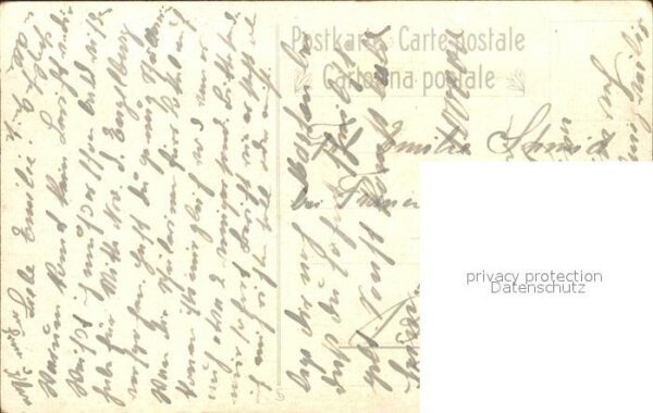 Frueh W. Dahlien Zinnien – Bild 2