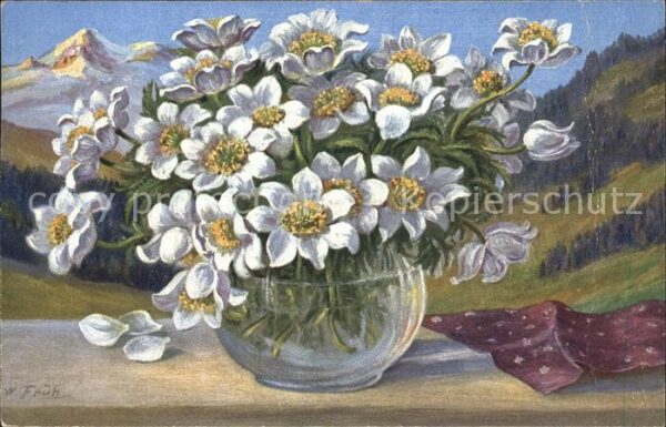 Frueh W. Anemonen