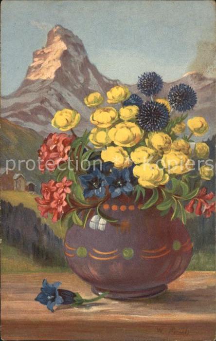 Frueh W. Alpenrosen Enzian Trollblume