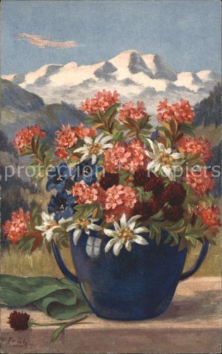 Frueh W. Alpenrosen Enzian Edelweiß Berge