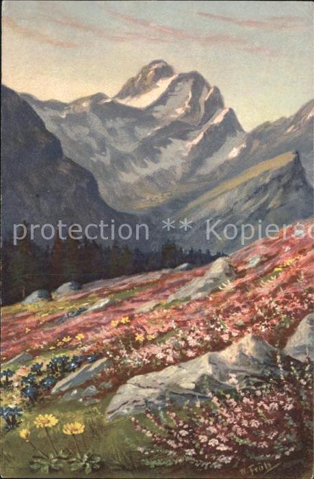 Frueh W. Primeln Alpenrosen Enzian