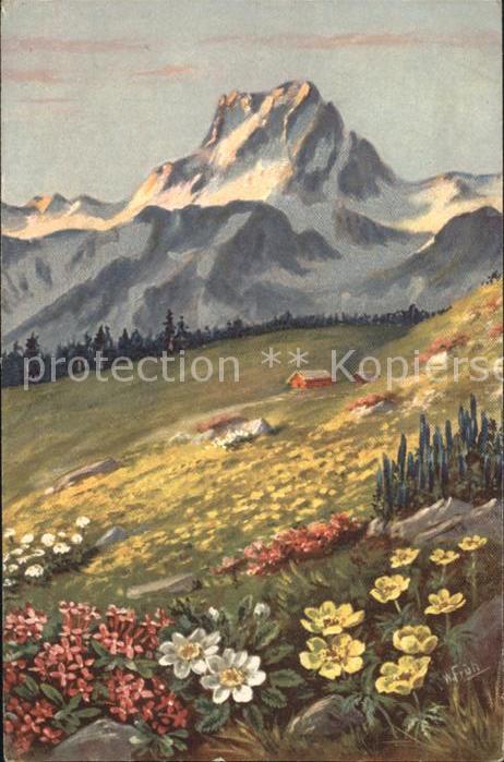 Frueh W. Alpenrosen Anemonen Zypressen Berge