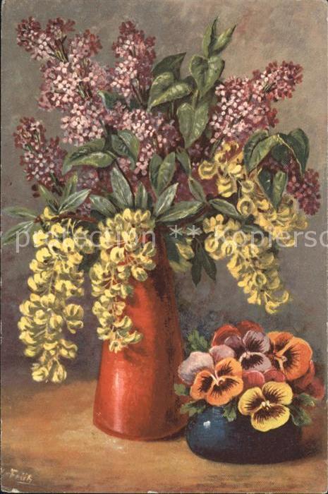 Frueh W. Flieder Stiefmütterchen