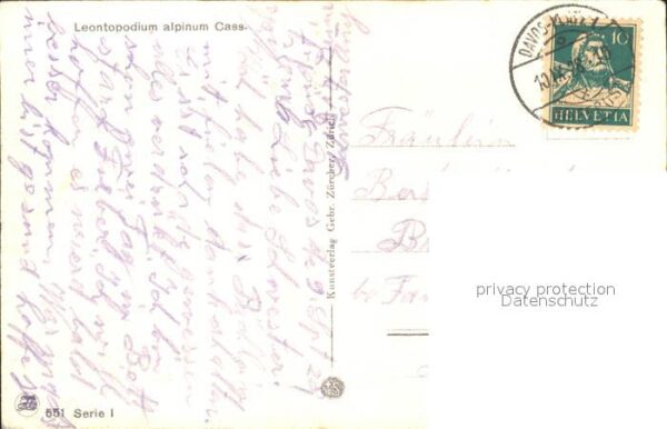 Frueh W. Edelweiß Berge – Bild 2