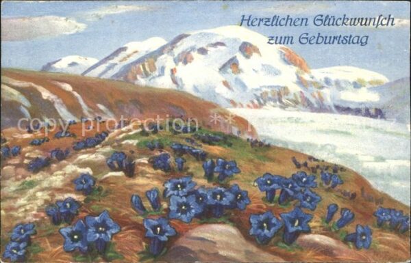 Frueh W. 557 Enzian Geburtstag Glückwunsch