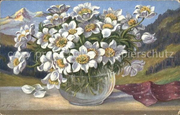 Frueh W. Anemonen Vase