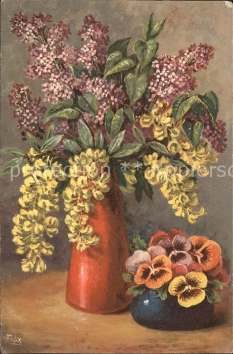 Frueh W. Flieder Stiefmütterchen