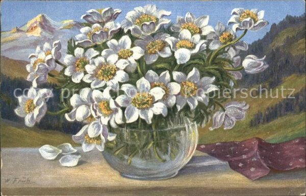 Frueh W. Anemonen