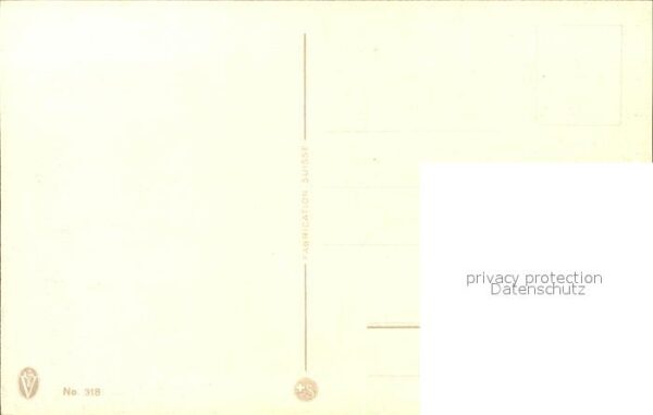 Haller Anna 318 Leberblümchen – Bild 2