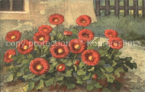 Haller Anna 352 Blumen