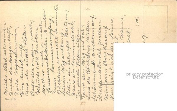 Haller Anna 232 Gänseblümchen – Bild 2
