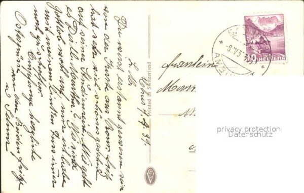 Haller Anna Gänseblümchen – Bild 2