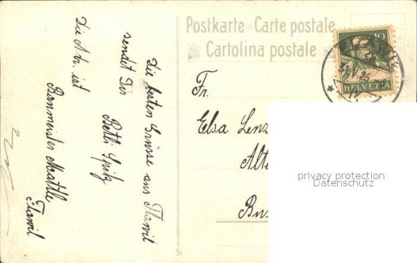 Frueh W. Dahlien Zinnien – Bild 2