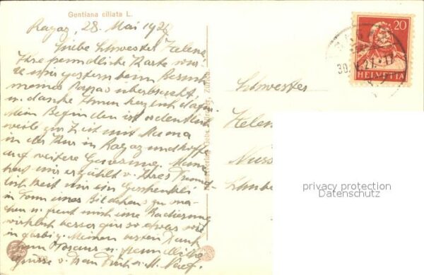 Frueh W. Enzian – Bild 2