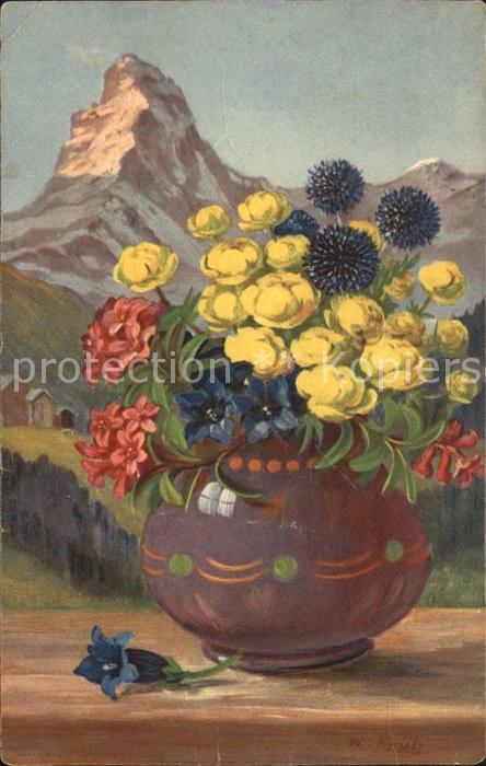 Frueh W. Enzian Trollblumen Alpenrosen