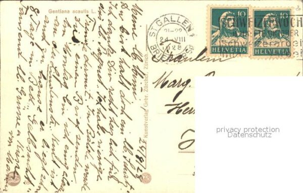 Frueh W. Enzianwiese Berge – Bild 2