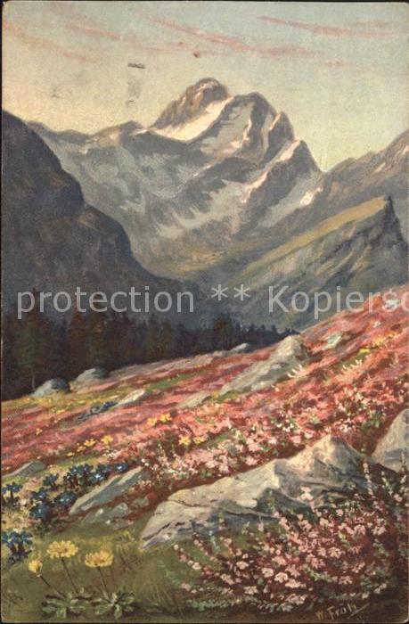 Frueh W. Anemonen Enzian Alpenrosen