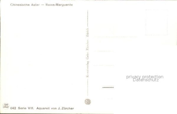 Zuercher J. 642 Margeriten – Bild 2