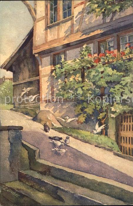 Zuercher J. 708 Friedliches Volk Tauben Haus