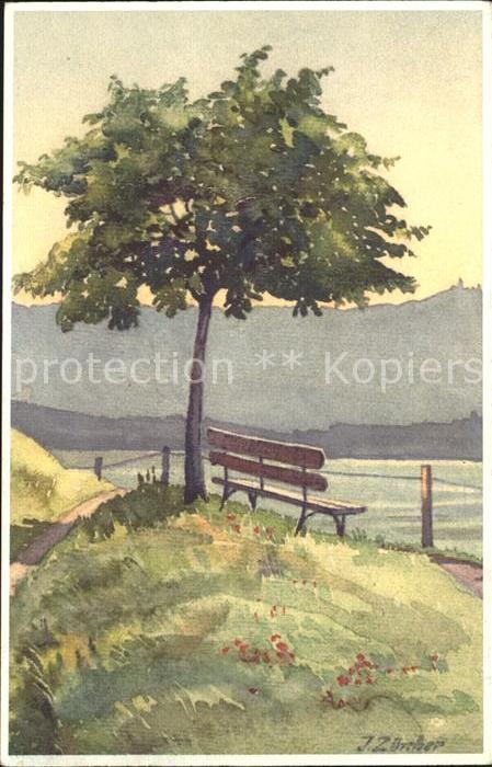 Zuercher J. 656 Bank Baum