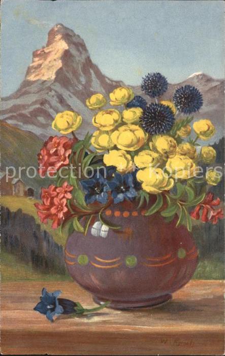Frueh W. Alpenrosen Enzian Trollblumen